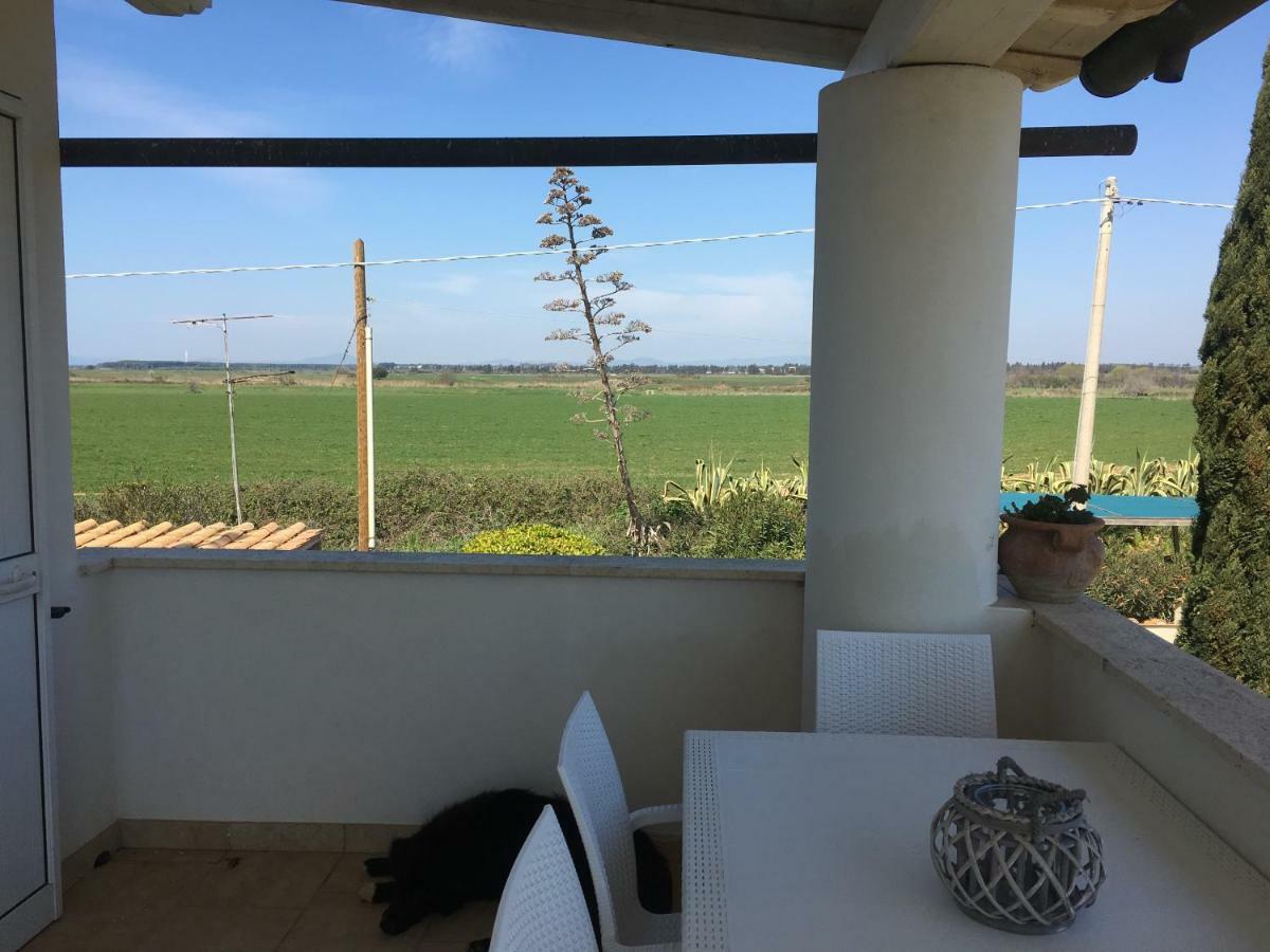 Villa Olga Tarquinia Exterior foto
